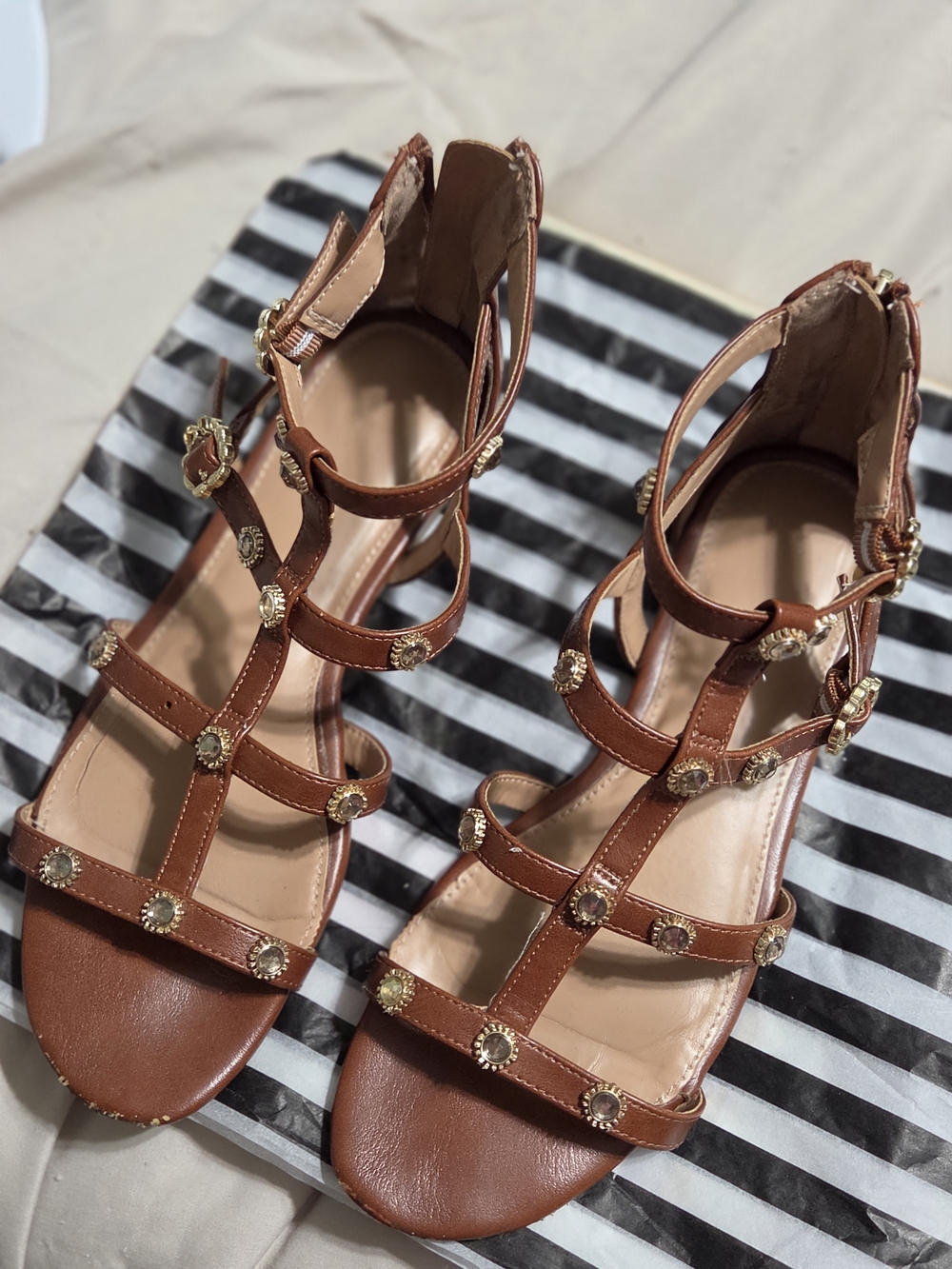 SAM & LIBBY Women's Brown Strappy Gladiator Sandals with Decorative Studs